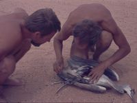 Autopsy of A. cinerea