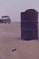 Mummy of Lanius senator