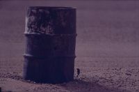 Lanius senator at marking barrel