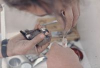 Preparation of the brain