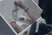 Bench, taking measurements and weight